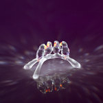 Bird Crystal