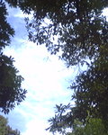 P05-03-07_18.01