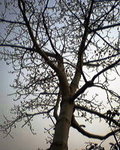 P03-09-06_16.21