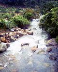P06-09-06_17.01