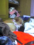 picture036