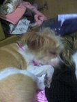 picture037