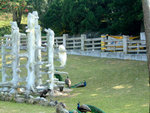 DSCF0030