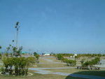 DSCF0001