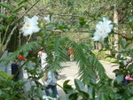 DSCF0026