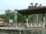 DSCF0006