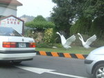 DSCF0027
