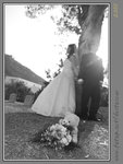 DSC_1133