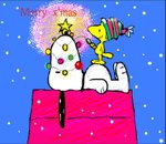 12.1