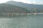 Penang Official14