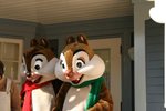 IMG_0333
