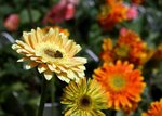 IMG_3028