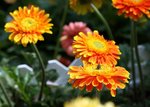 IMG_3032