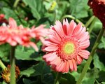 IMG_3035