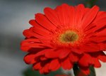 IMG_3046