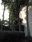 P1000312