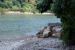 IMG_0712