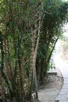 IMG_0788