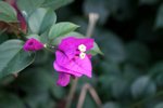 IMG_0793