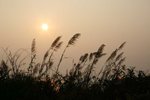 IMG_0806