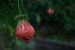 IMG_0817