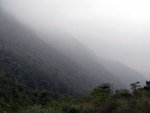P10001781-1