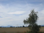 �Ӥ� 355