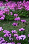 IMG_1288