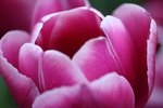 IMG_1401
