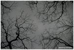 IMG_1872