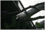 IMG_1909
