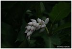 IMG_1936