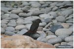 IMG_1961