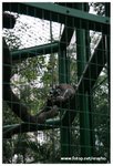 IMG_2037