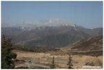 IMG_2981
