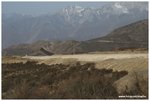 IMG_3037