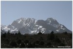 IMG_3145