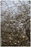 IMG_3194