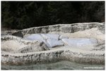 IMG_3230