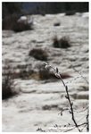 IMG_3336