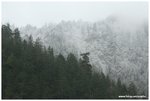 IMG_4003