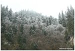 IMG_4037