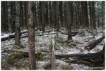 IMG_4188