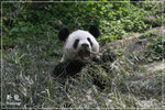 bIMG_9629