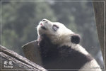 bIMG_9661