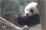 bIMG_9663