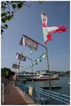 IMG_3000