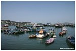 IMG_3001
