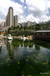 IMG_6973_20070624w