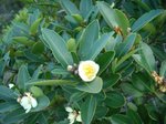 DSCN3327